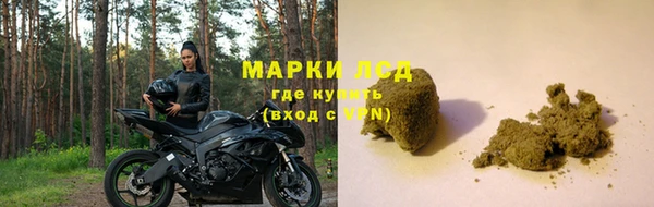 прущие грибы Кулебаки