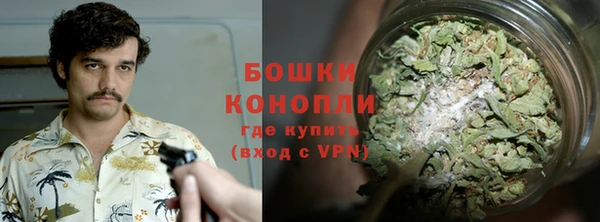 spice Ладушкин