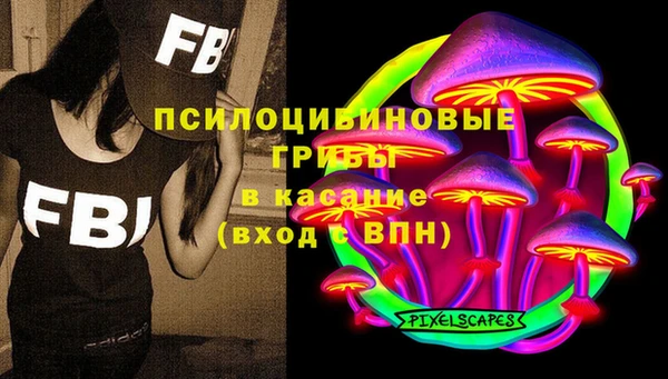 дурь Лабытнанги