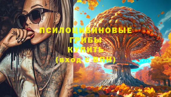 дурь Лабытнанги
