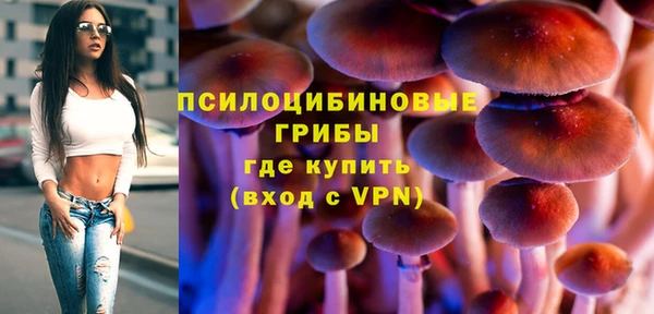 дурь Лабытнанги