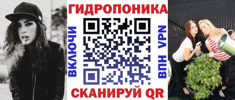 Купить где Бежецк МАРИХУАНА сатива